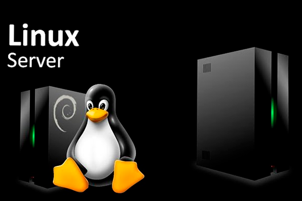 Servidores Dedicados